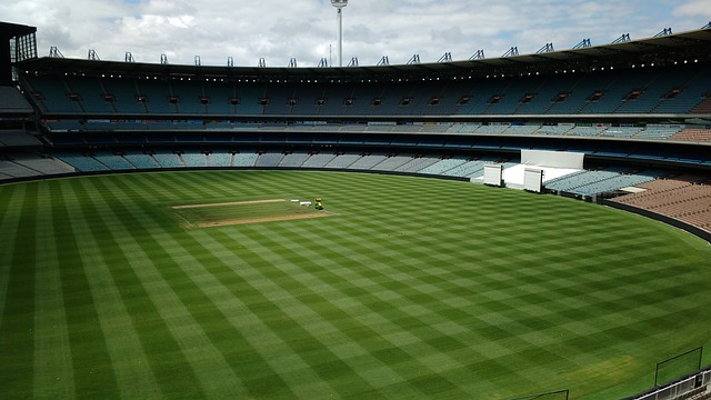 我们可以看 我们可以看