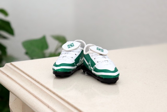 奋进的春天 奋进的春天