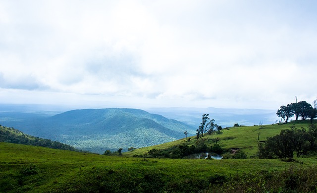 还增加了球 还增加了球