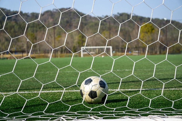 的适应性训 的适应性训