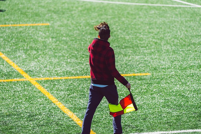 但很少有人 但很少有人