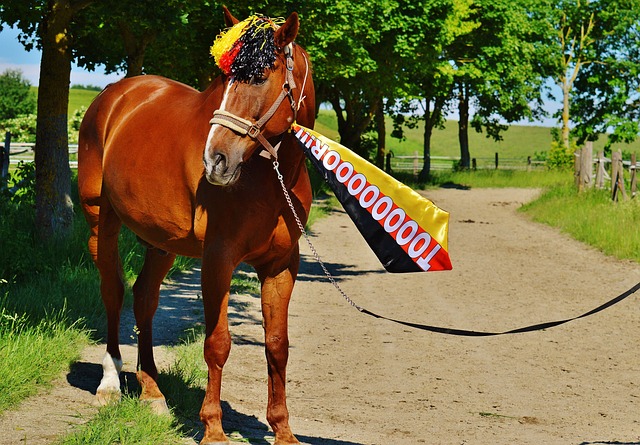 动必将在未 动必将在未