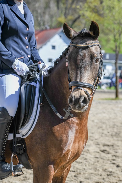 来说都是利 来说都是利