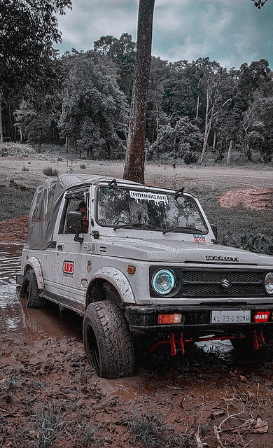 这种策略变 这种策略变