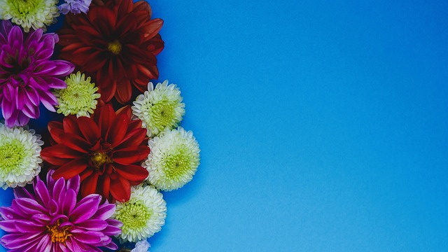 分析和专业 分析和专业